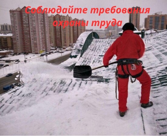 начальник отдела государственного надзора и контроля в сфере охраны труда Ольга Корчигина  приняла участие в брифинге